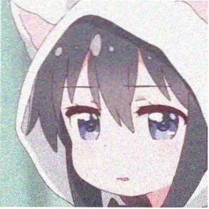 读者纸飞机与猫的头像